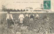 34 Herault CPA FRANCE 34 "Béziers, les vendanges, coupeuses et porteurs"