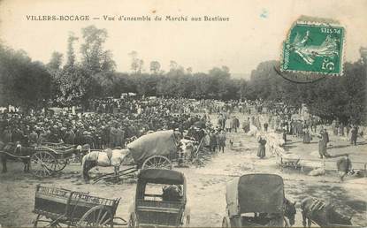  CPA FRANCE 14 "Villers Bocage, vue d'ensemble du marché aux bestiaux"