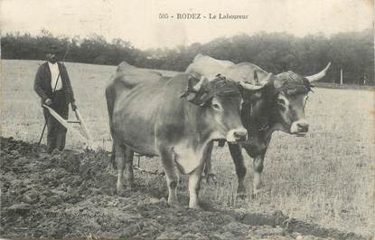  CPA FRANCE 12 "Rodez, le laboureur, attelage de boeufs"