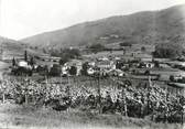 64 PyrÉnÉe Atlantique / CPSM FRANCE 64 "Irouleguy, le village aux vins réputés"