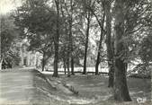 64 PyrÉnÉe Atlantique / CPSM FRANCE 64 "Lasseube, la promenade"