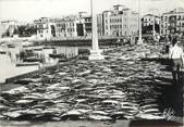 64 PyrÉnÉe Atlantique / CPSM FRANCE 64 "Saint Jean de Luz,  les thons sur le quai"