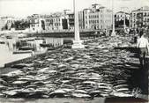 64 PyrÉnÉe Atlantique / CPSM FRANCE 64 "Saint Jean de Luz,  les thons sur le quai"