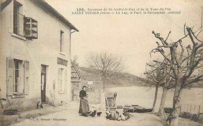 / CPA FRANCE 38 "Saint Didier, le lac, le port, le restaurant"