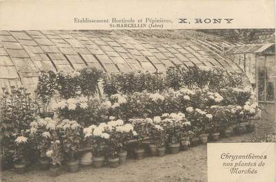 / CPA FRANCE 38 "Saint Marcellin, établissements horticoles et pépinières"