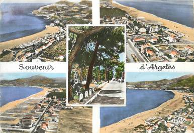 / CPSM FRANCE 66 "Souvenir d'Argelès plage "