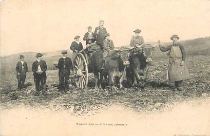 CPA FRANCE 87 "Eymoutiers, attelage limousin"
