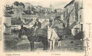 86 Vienne CPA FRANCE 86 "Angles, un muletier"