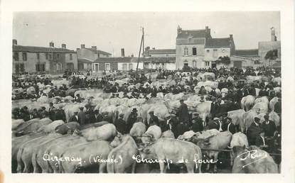 CARTE PHOTO FRANCE 85 "Aizenay, le champ de foire"