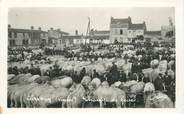 85 Vendee CARTE PHOTO FRANCE 85 "Aizenay, le champ de foire"