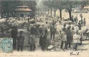 74 Haute Savoie / CPA FRANCE 74 "Annecy, marché au bétail"