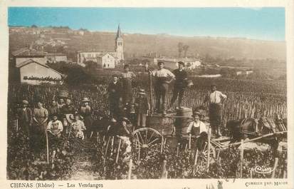 CPA FRANCE 69 "Chénas, les vendanges"