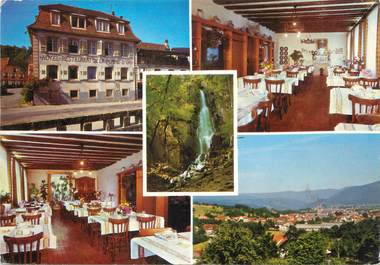 / CPSM FRANCE 67 "Niederhaslach, hôtel restaurant de la Pomme d'Or "