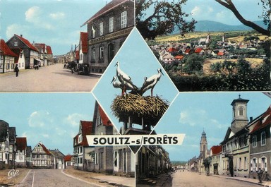 / CPSM FRANCE 67 "Soultz sous forêts"