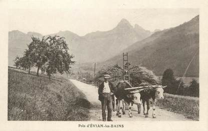 / CPA FRANCE 74 "Près d'Evian Les Bains"