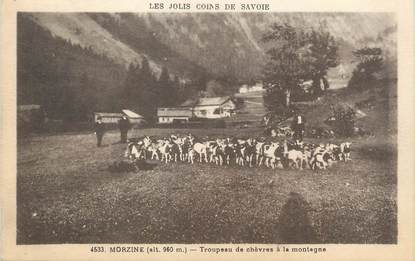 / CPA FRANCE 74 "Morzine, troupeau de chèvres à la montagne" / CHEVRE