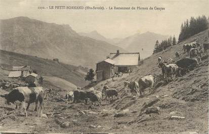 / CPA FRANCE 74 "Petit Bornand, le restaurant du plateau de Cenyse"