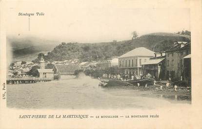 CPA MARTINIQUE / Saint Pierre, le mouillage, la montagne Pelée