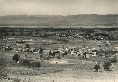 / CPSM FRANCE 74 "Vue panoramique de Douvaine, le lac Léman et le Jura"