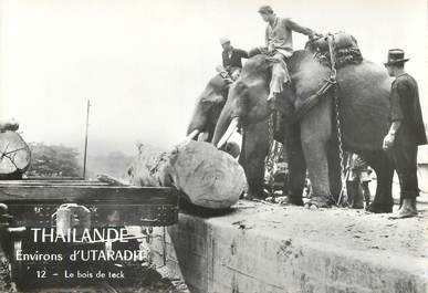    CPSM THAILANDE "Eléphants transportant le bois de teck"