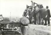 Asie    CPSM THAILANDE "Eléphants transportant le bois de teck"