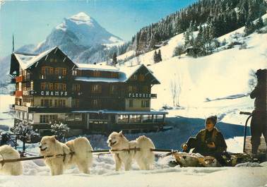 / CPSM FRANCE 74 "Morzine, hôtel Champs Fleuris" / ATTELAGE DE CHIENS