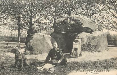 CPA FRANCE 92 "Meudon Bellevue, les dolmens"