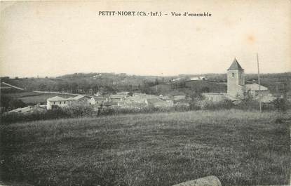 CPA FRANCE 17 "Petit Niort, vue d'ensemble"