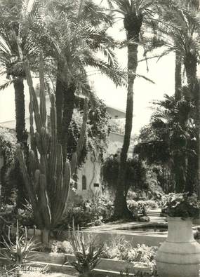   CPSM  MAROC "Marrakech, le jardin du peintre Majorelle"