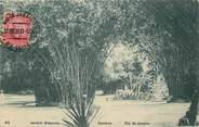 Amerique CPA BRESIL "Rio de Janeiro"