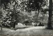 78 Yveline / CPSM FRANCE 78 "Versailles, école Sainte Geneviève, une allée du parc"