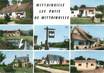 / CPSM FRANCE 78 "Mittainville et les Patis de Mittainville"