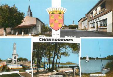 / CPSM FRANCE 79 "Chantecorps"