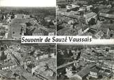 79 Deux SÈvre / CPSM FRANCE 79 "Souvenir de Sauze Vaussais"