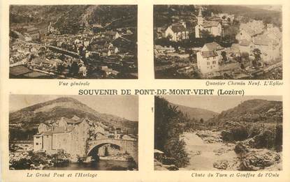 .CPA FRANCE  48 "Le Pont de Montvert, souvenir de Pont de Montvert"