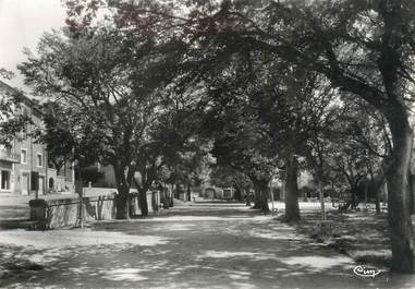 / CPSM FRANCE 84 "Sault de Vaucluse, la promenade"