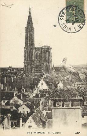 CPA FRANCE 67 "Strasbourg, Les Cigognes"