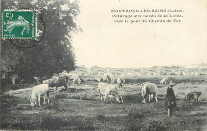 .CPA FRANCE 42 "Montrond les Bains, Pâturage aux bords de la Loire vers le pont de chemin de fer"