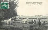 42 Loire .CPA FRANCE 42 "Montrond les Bains, Pâturage aux bords de la Loire vers le pont de chemin de fer"