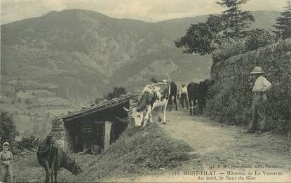 .CPA FRANCE 42 "Mont Pilat, Hâmeau de la Vasseras"