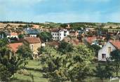 89 Yonne / CPSM FRANCE 89 "Courson les Carrières, panorama"