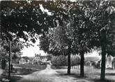 89 Yonne / CPSM FRANCE 89 "Looze, vue aérienne, allée du château"