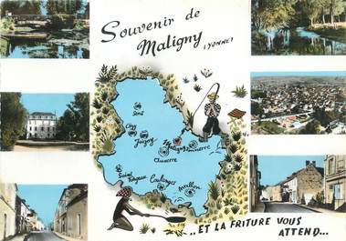 / CPSM FRANCE 89 "Maligny "