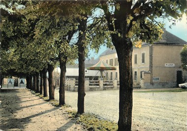 / CPSM FRANCE 89 "Michery, place, mairie"