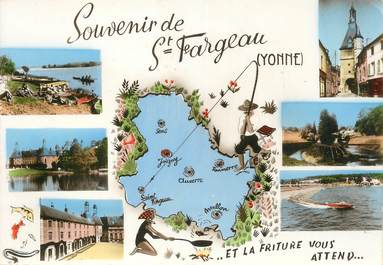 / CPSM FRANCE 89 "Saint Fargeau "
