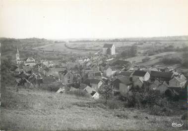 CPSM FRANCE 89 "Vireaux, vue générale, le Paradis"