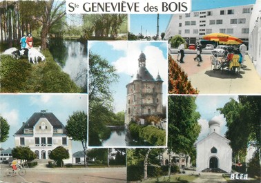 / CPSM FRANCE 91 "Sainte Geneviève des Bois "