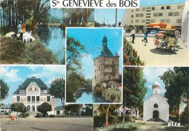 / CPSM FRANCE 91 " Sainte Geneviève des  Bois "