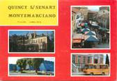 91 Essonne / CPSM FRANCE 91 "Quincy sur Sénart"