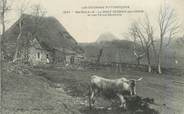 07 Ardeche .CPA  FRANCE 07 "Ste Eulalie, Le Mont Gerbier des Joncs et une ferme Cévenolle"